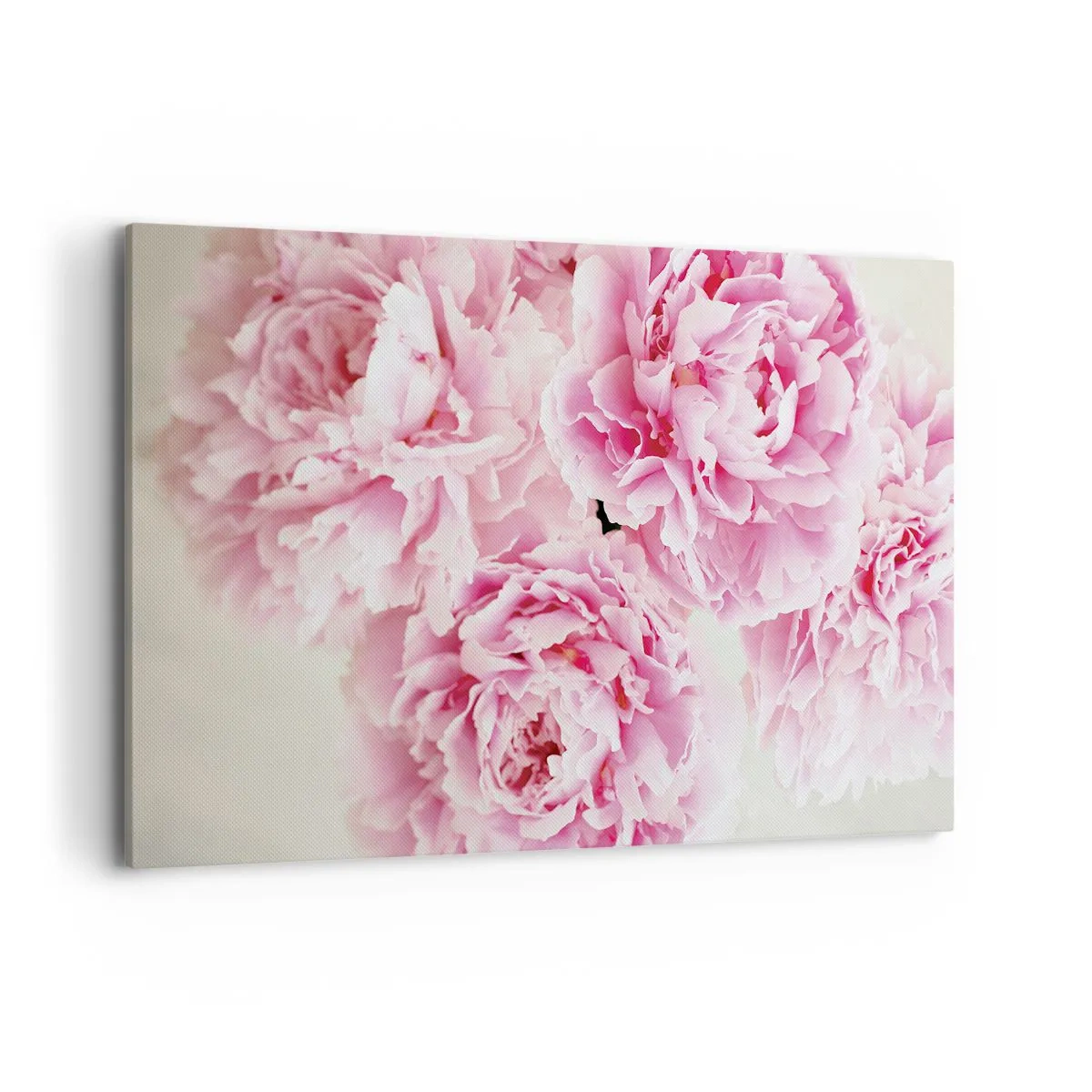 Canvas picture - In Pink Splendour - 120x80 cm