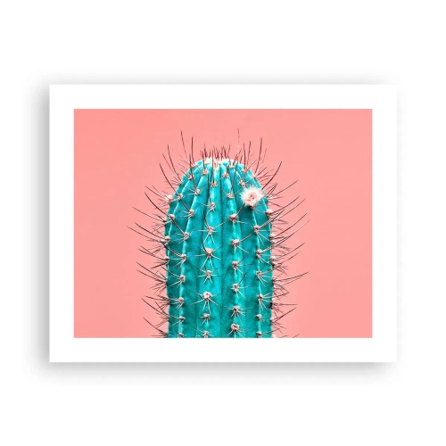 Poster - Just Look - 50x40 cm