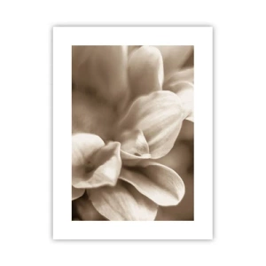 Poster - Soft as a Smile - 30x40 cm