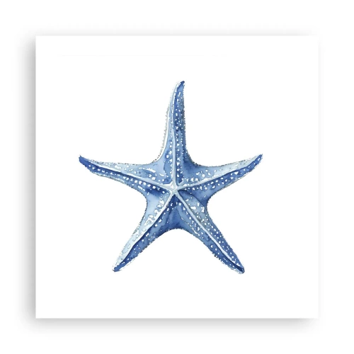 Poster - Sea Star - 50x50 cm