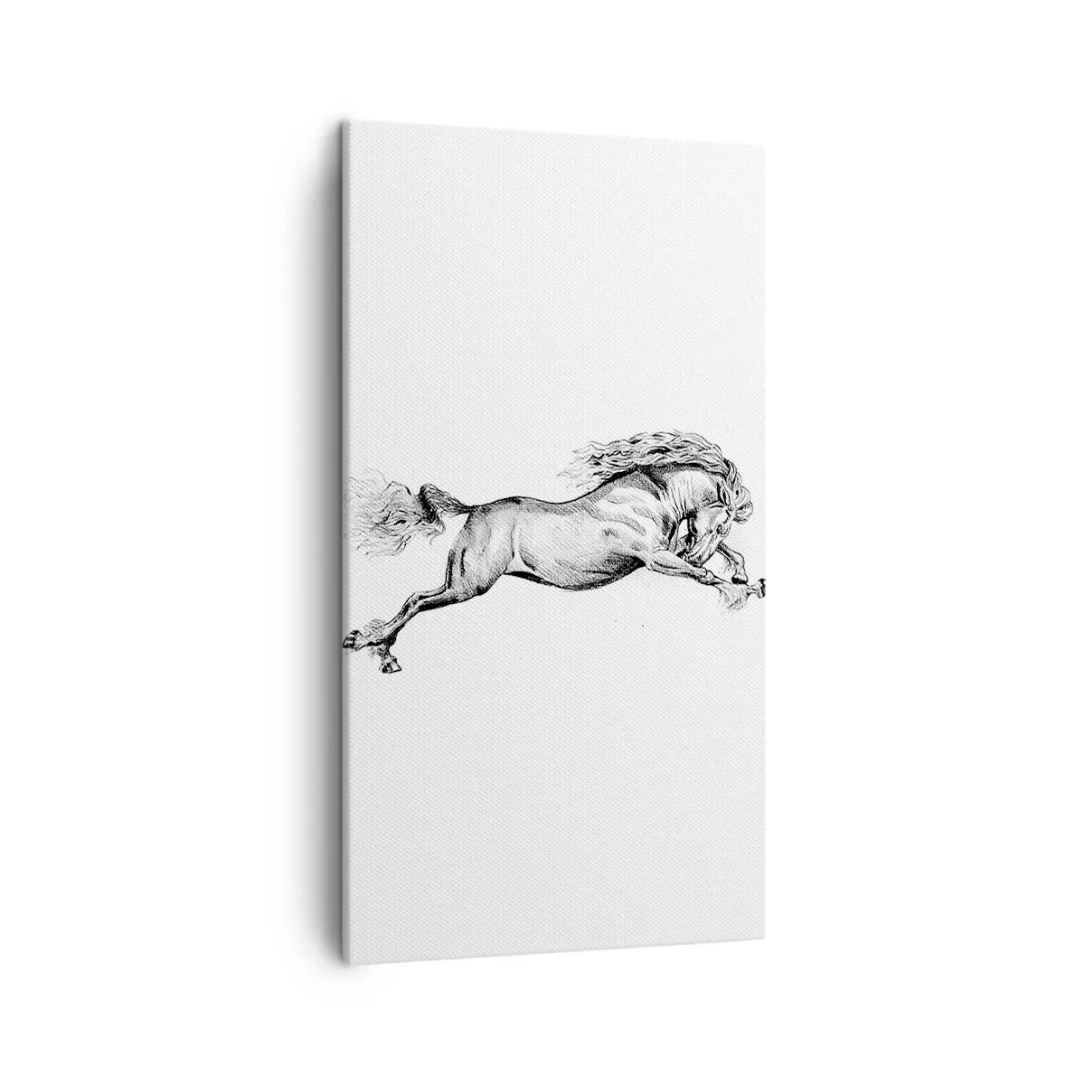 Canvas picture - Stopped at a Gallop - 45x80 cm