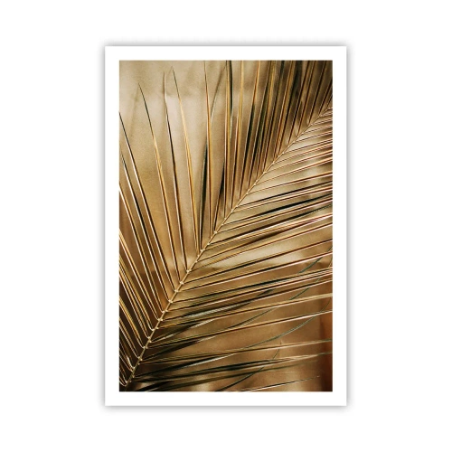 Poster - Natural Colonnade - 61x91 cm