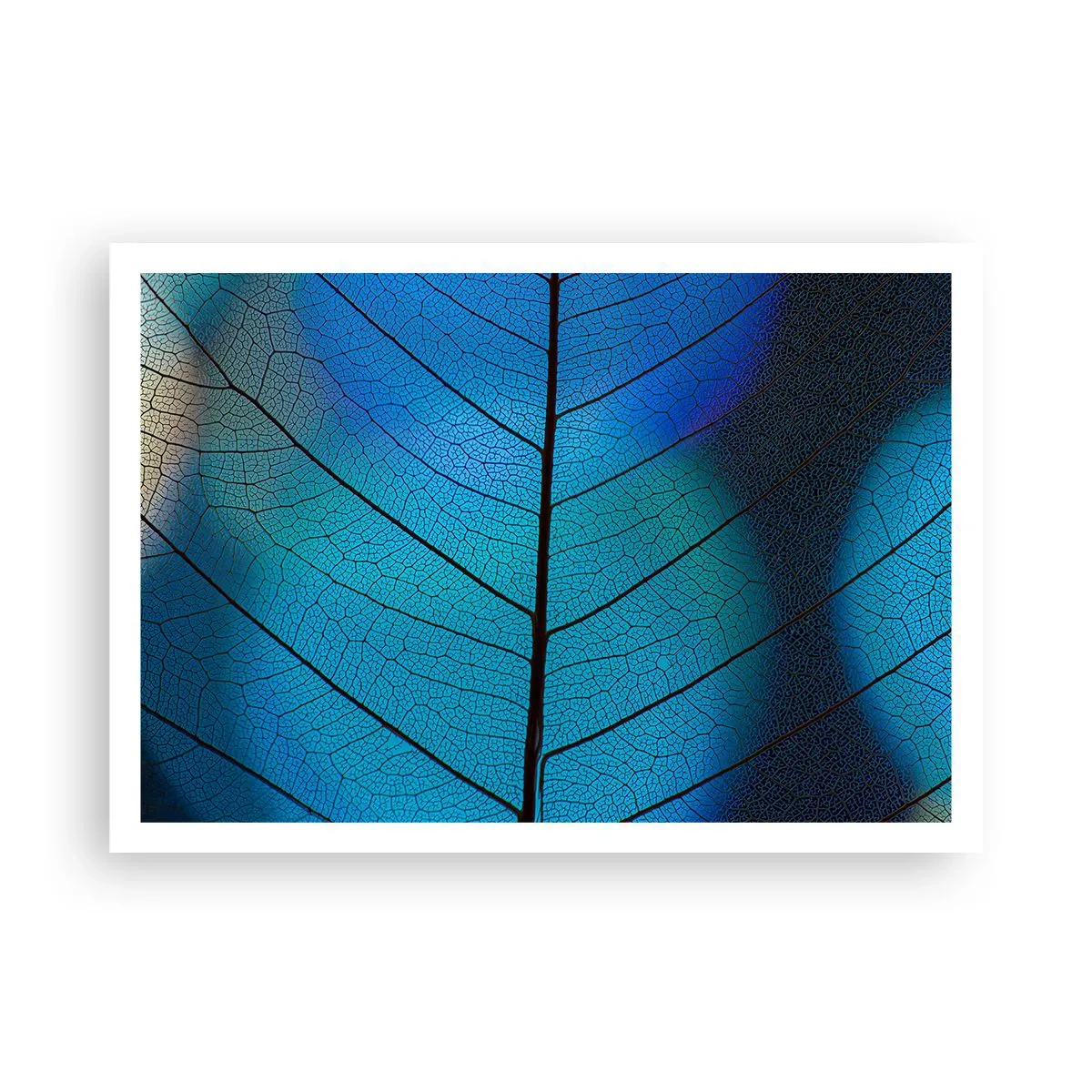 Poster - Intricate Construction - 100x70 cm