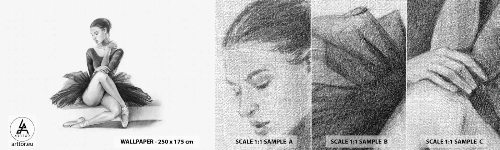 Photo Wallpaper Sample Premium Canvas - Enchanted by a Dance - Ballerina, Dance, Ballet - 100x30 cm