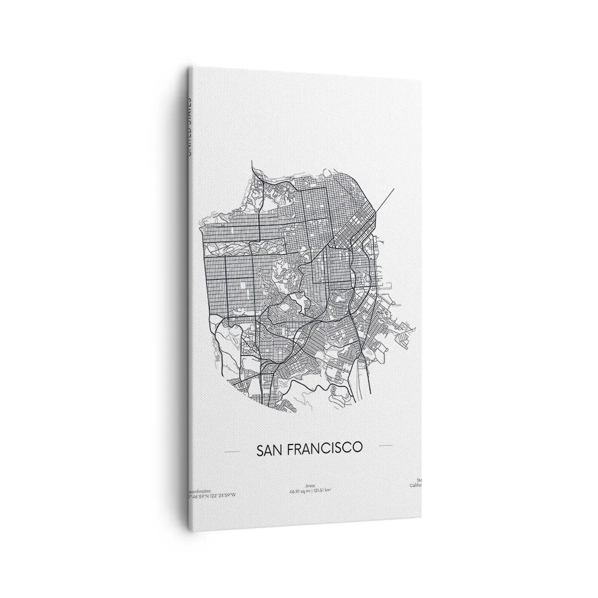 Canvas picture - Anatomy of San Francisco - 45x80 cm