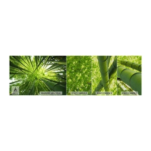 Photo Wallpaper Sample Premium Sand - In a Bamboo Forest - Bamboo Forest, Jungle, Bamboo - 100x30 cm