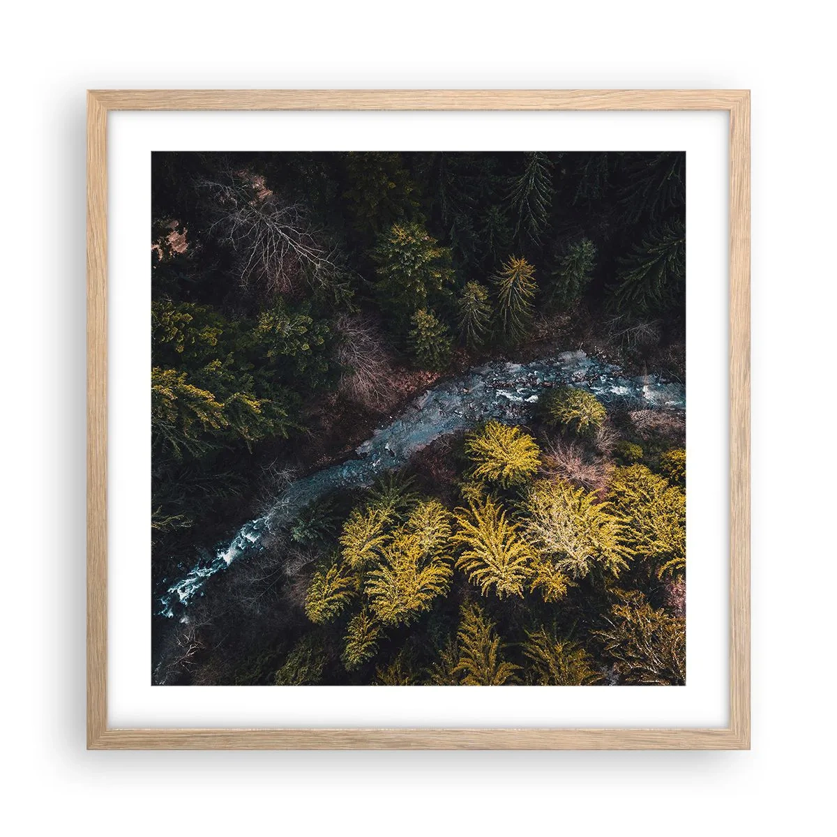 Poster in light oak frame - Fast and Faster - 50x50 cm