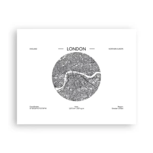 Poster - Anatomy of London - 50x40 cm