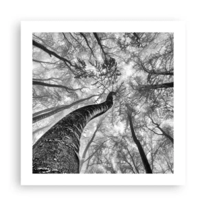 Poster - Race for the Light - 50x50 cm