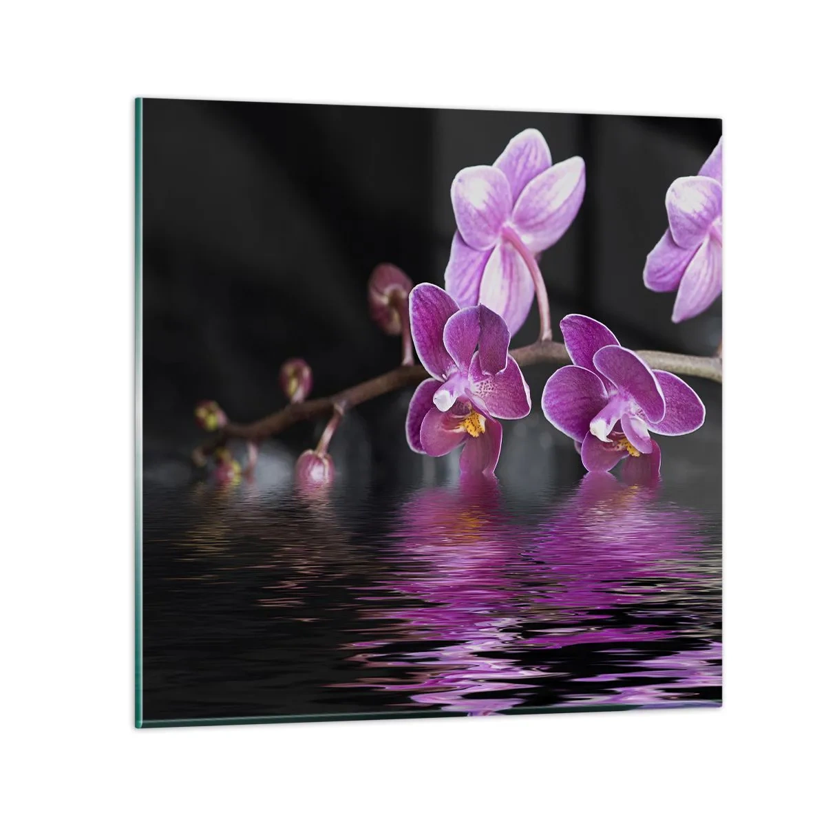 Glass picture - Lilac Reflection of Beauty - 40x40 cm