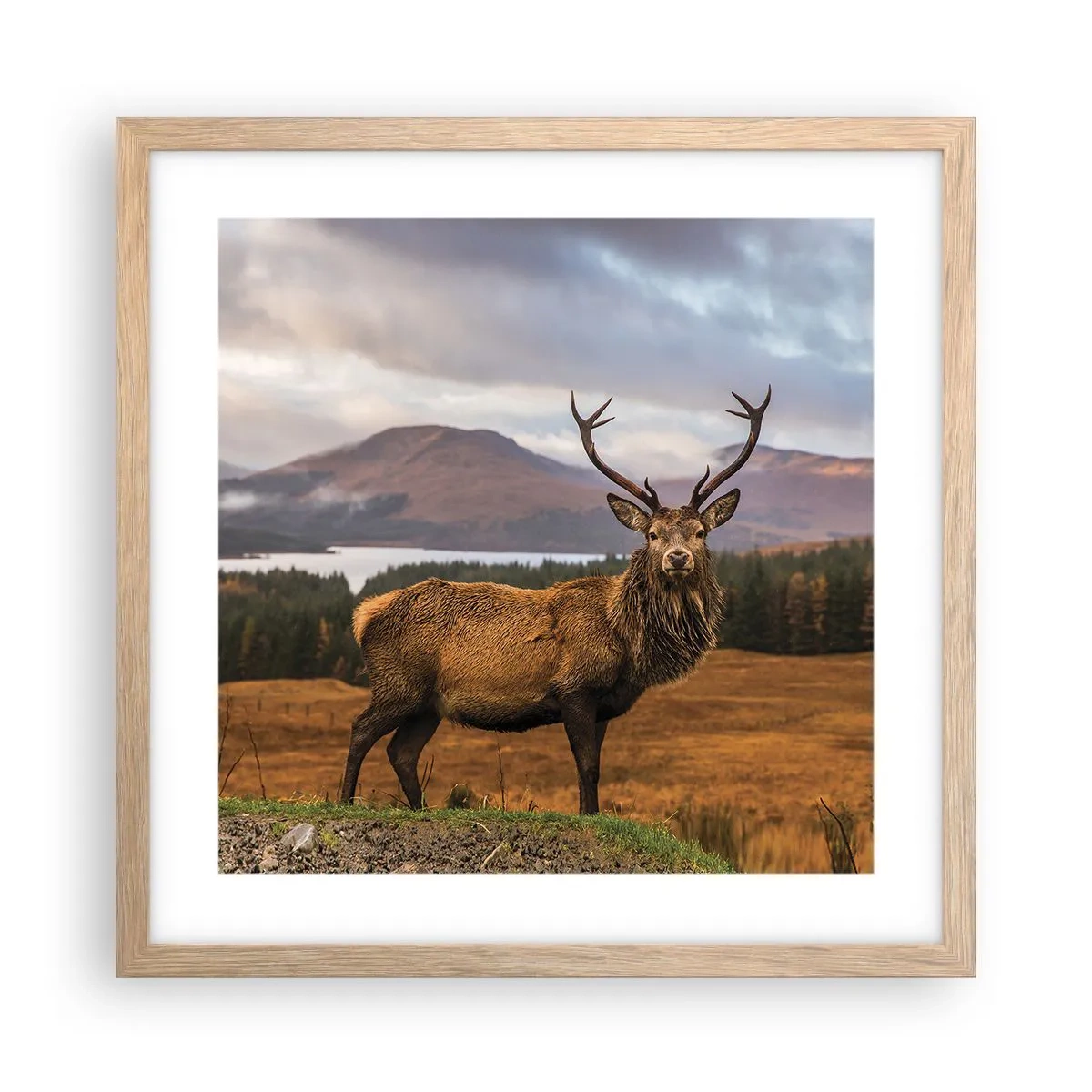 Poster in light oak frame - Majesty of Nature - 40x40 cm