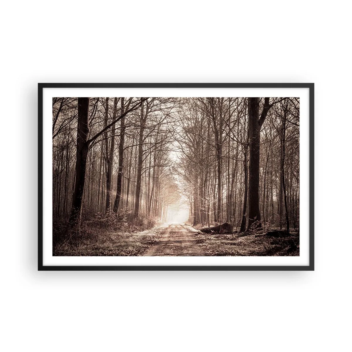 Poster in black frame - Cathedral of the Forest - 91x61 cm