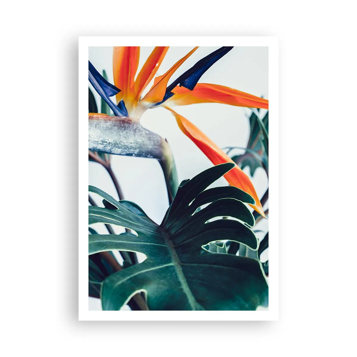 Poster - Birdy Bush - 70x100 cm
