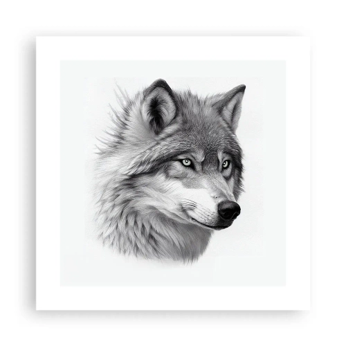 Poster - Alpha - Without a Doubt - 40x40 cm