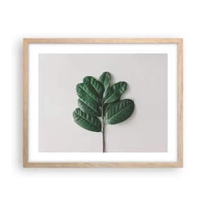 Poster in light oak frame - Drawing of Nature Itself - 50x40 cm