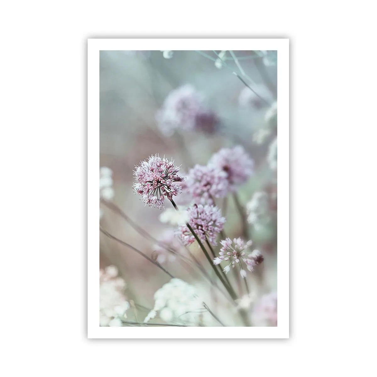 Poster - Sweet Filigrees of Herbs - 61x91 cm