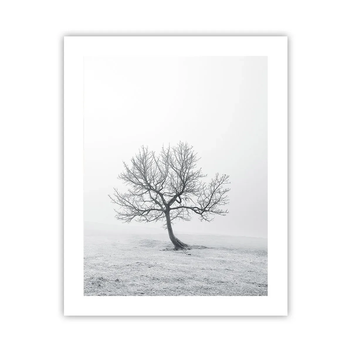 Poster - Against Nothingness - 40x50 cm