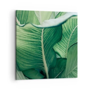 Canvas picture - Life in Intense Green Colour - 50x50 cm