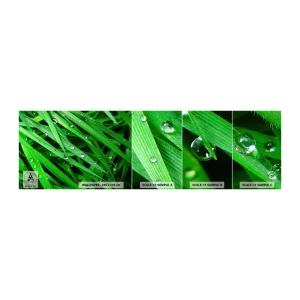 Photo Wallpaper Sample Self-Adhesive Deluxe Sticker - Go Grren - Nature, Green grass, Garden - 100x30 cm