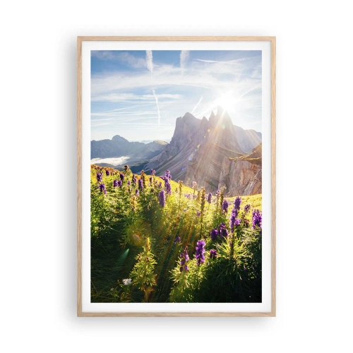 Poster in light oak frame - Secret Life of Herbs - 70x100 cm