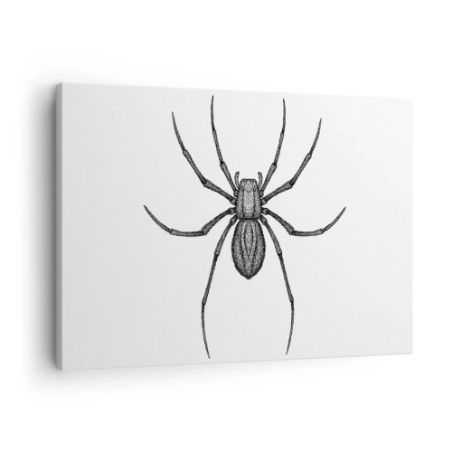Canvas picture - Detail of a spider on a white background in a cartoon style - 70x50cm - Disturbing Precision - Modern wall decoration for the living room and bedroom ARTTOR