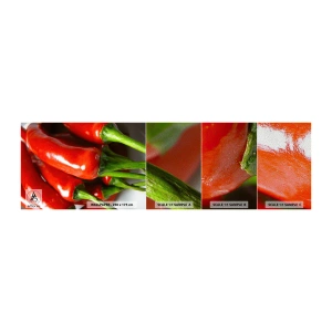 Photo Wallpaper Sample Premium Sand - Juicy, Shiny, Smooth - Gastronomy, Pepper, Vegetables - 100x30 cm