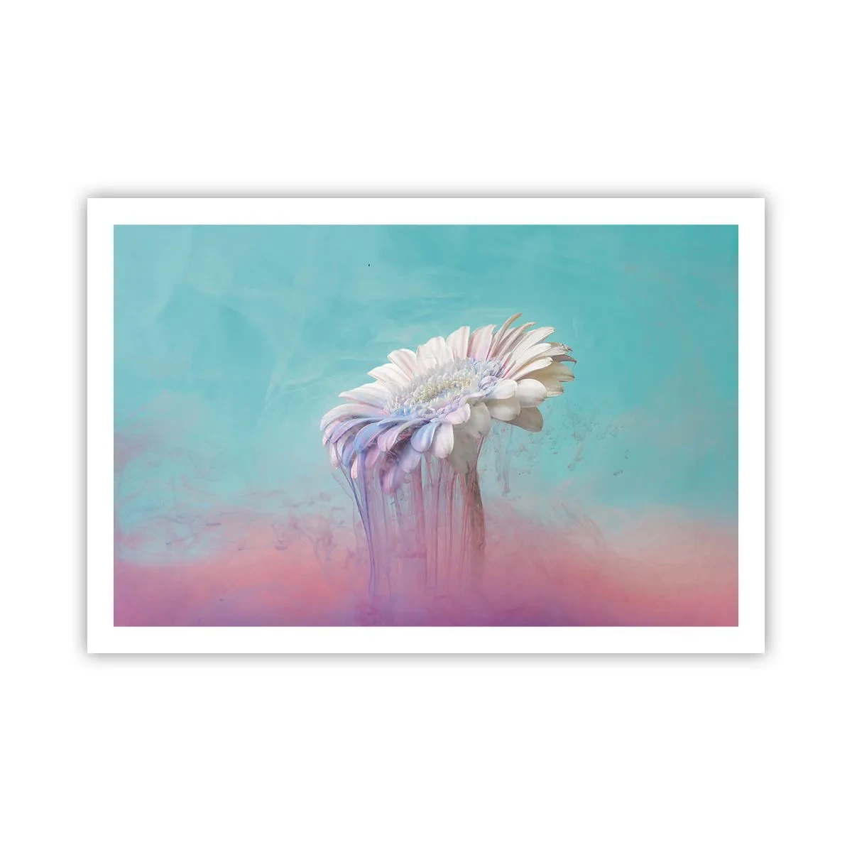 Poster - Afterlife of Flowers - 91x61 cm