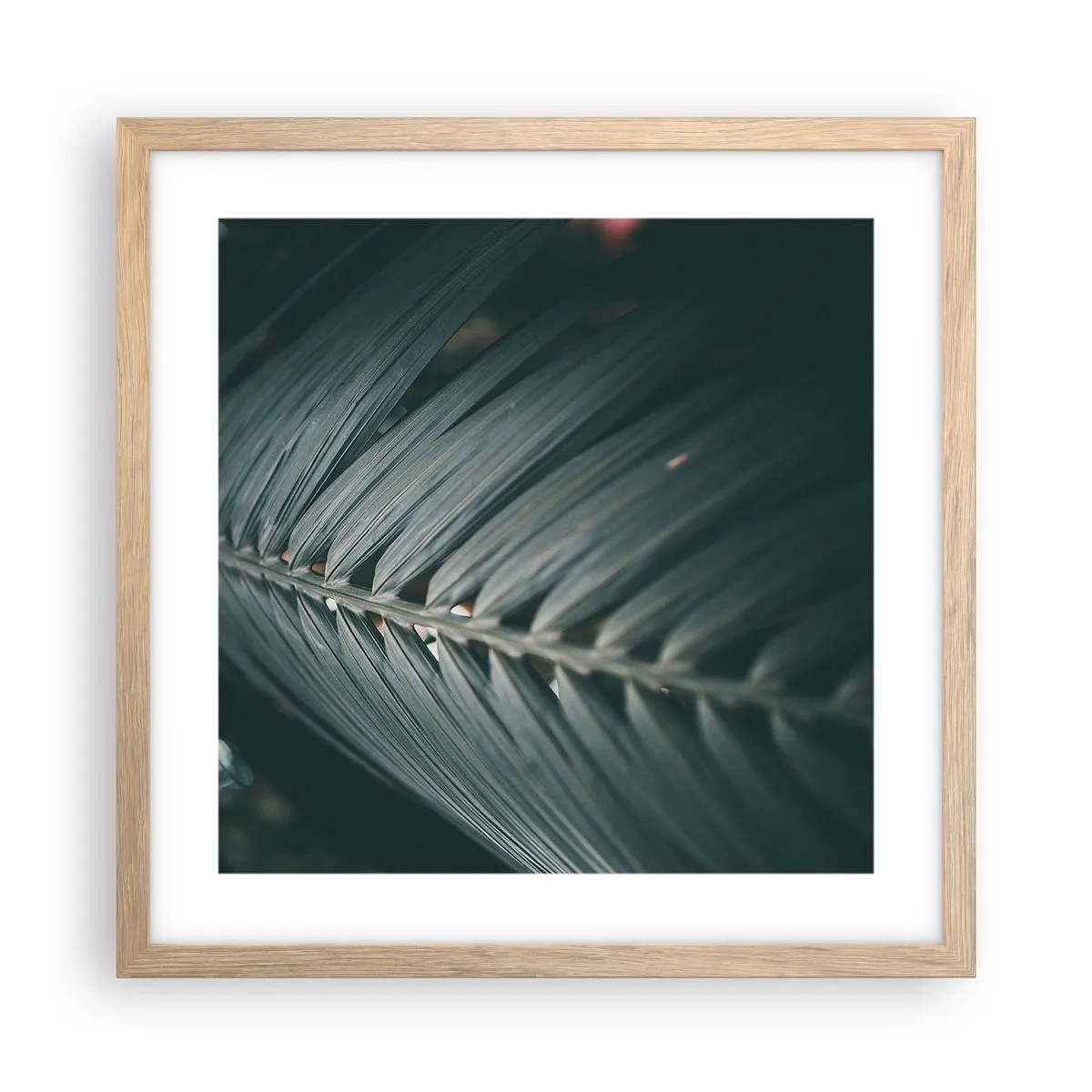 Poster in light oak frame - Precision of Nature - 40x40 cm