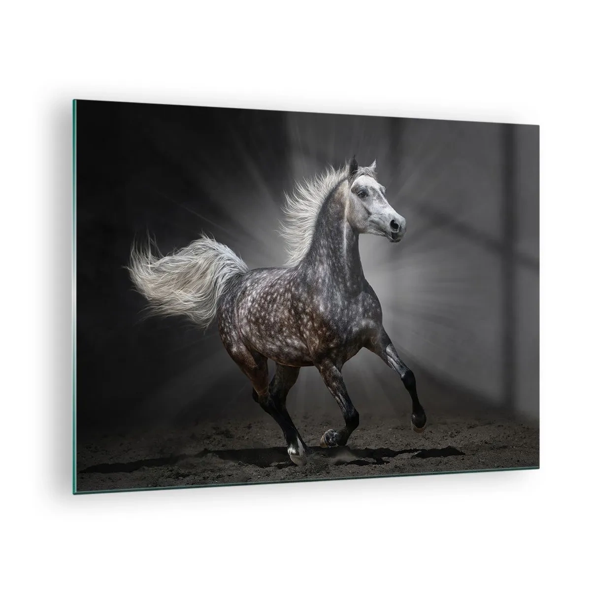 Glass picture - A galloping horse against a dark background with a lighting effect. - 70x50cm - Grey Is Beautiful - Modern wall decoration for the living room and bedroom ARTTOR