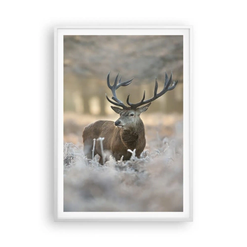 Poster in white frmae - Chilly Morning - 70x100 cm
