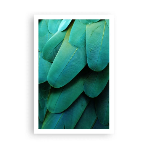 Poster - Precision of Parrot Nature - 61x91 cm
