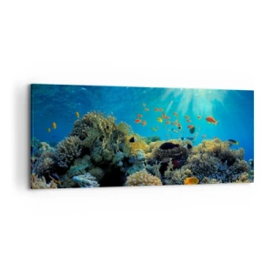 Canvas picture - Underwater Treasures - 120x50 cm