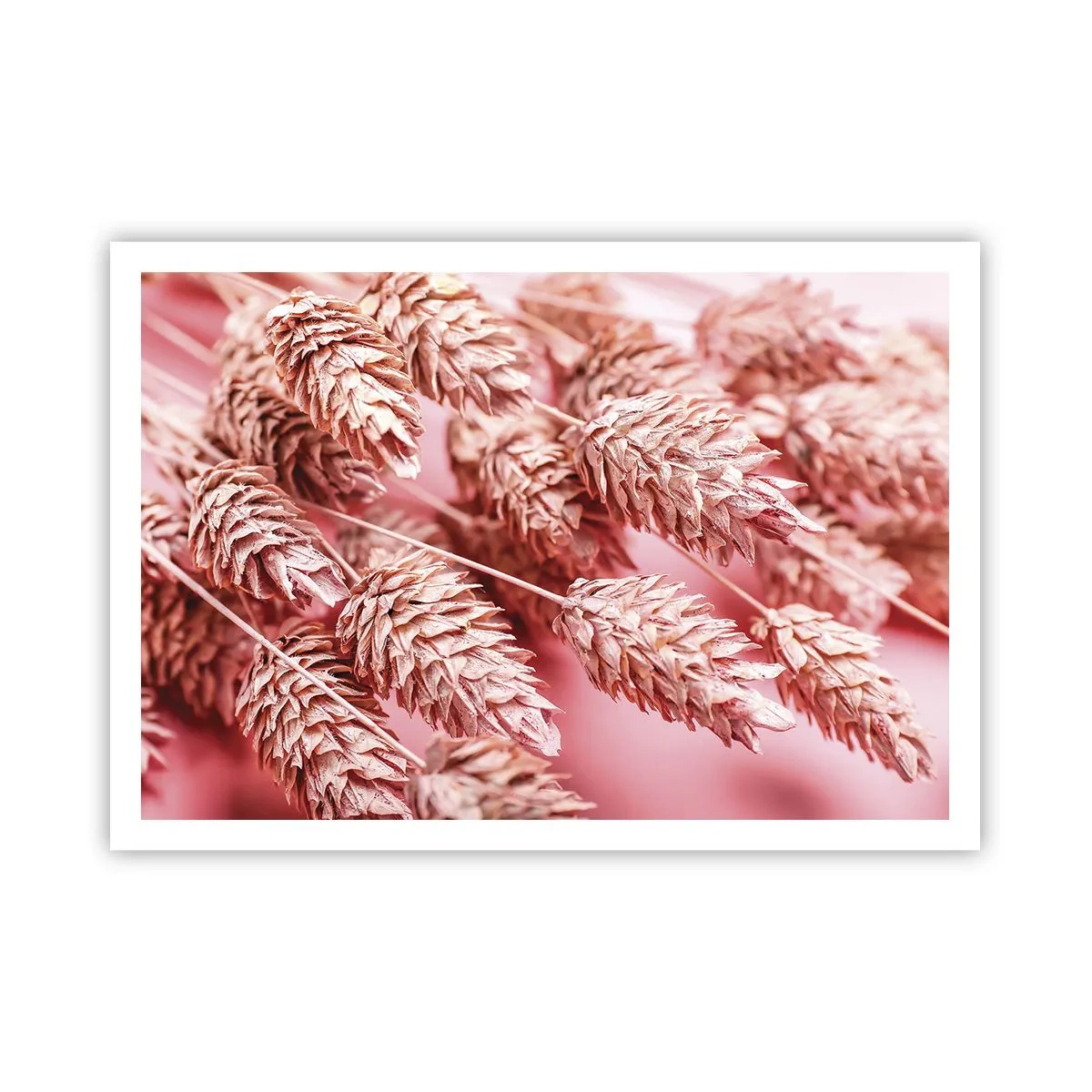 Poster - Flowery Cascade in Pink - 100x70 cm