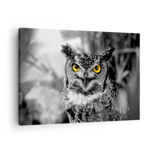 Canvas picture - A black and white shot of an owl with yellow eyes - 70x50cm - Nothing Can Hide - Modern wall decoration for the living room and bedroom ARTTOR