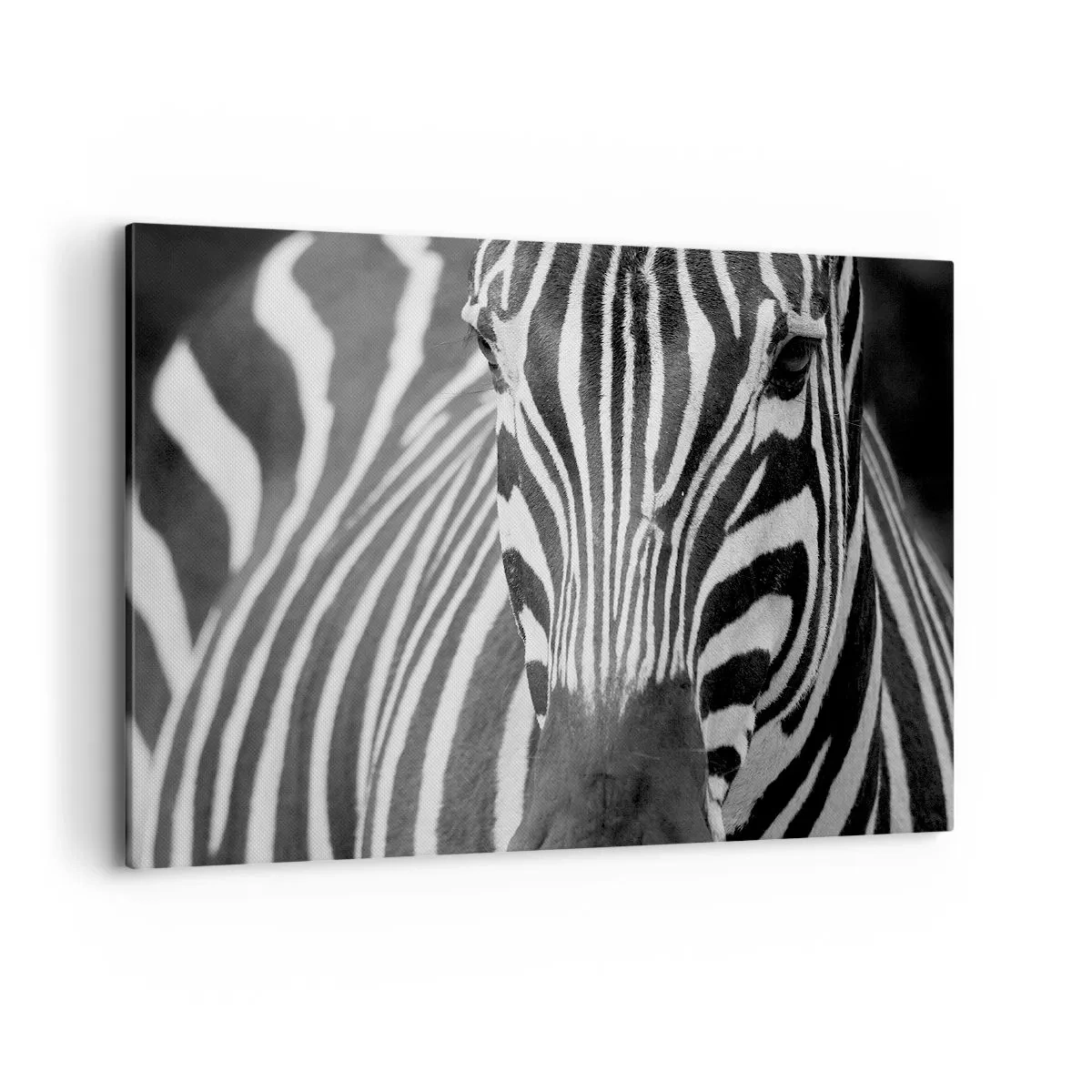 Canvas picture - World Is Black and White - 100x70 cm