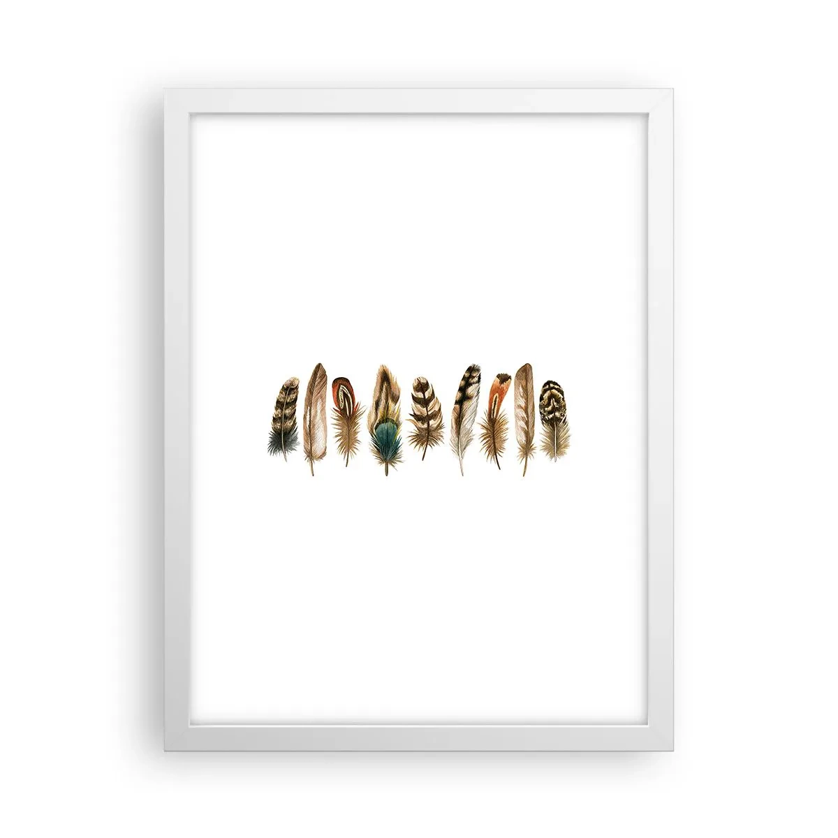 Poster in white frmae - Feather Variation - 30x40 cm