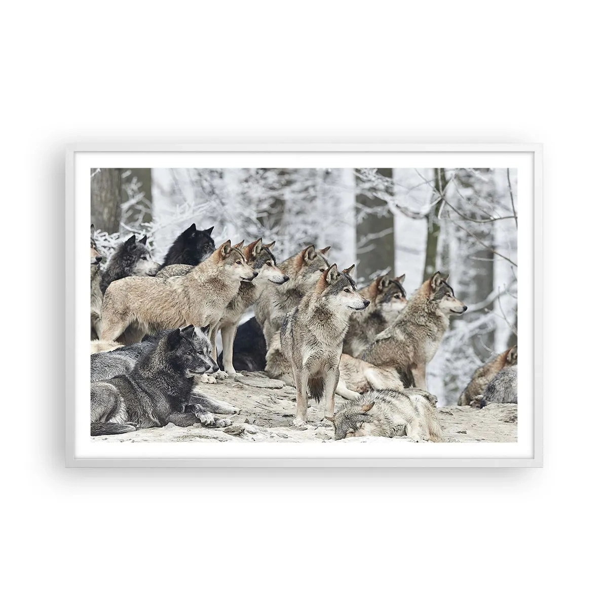 Poster in white frmae - Family and Friends - 91x61 cm