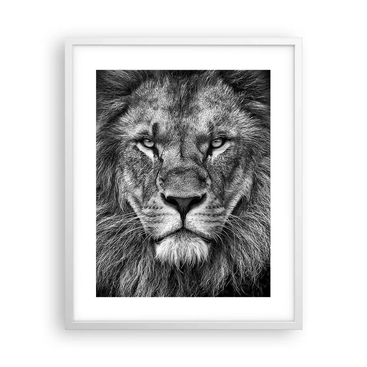 Poster in white frmae - In Coronation Clothes - 40x50 cm