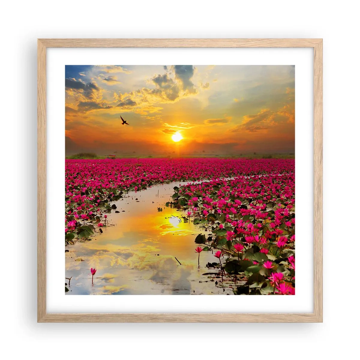 Poster in light oak frame - Secret Life of a Lake - 50x50 cm
