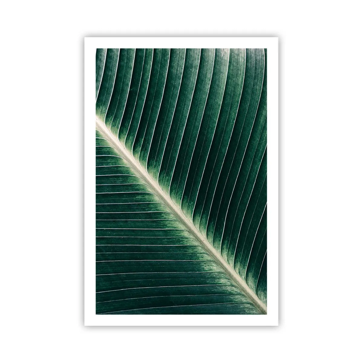 Poster - Rhythm of Nature - 61x91 cm