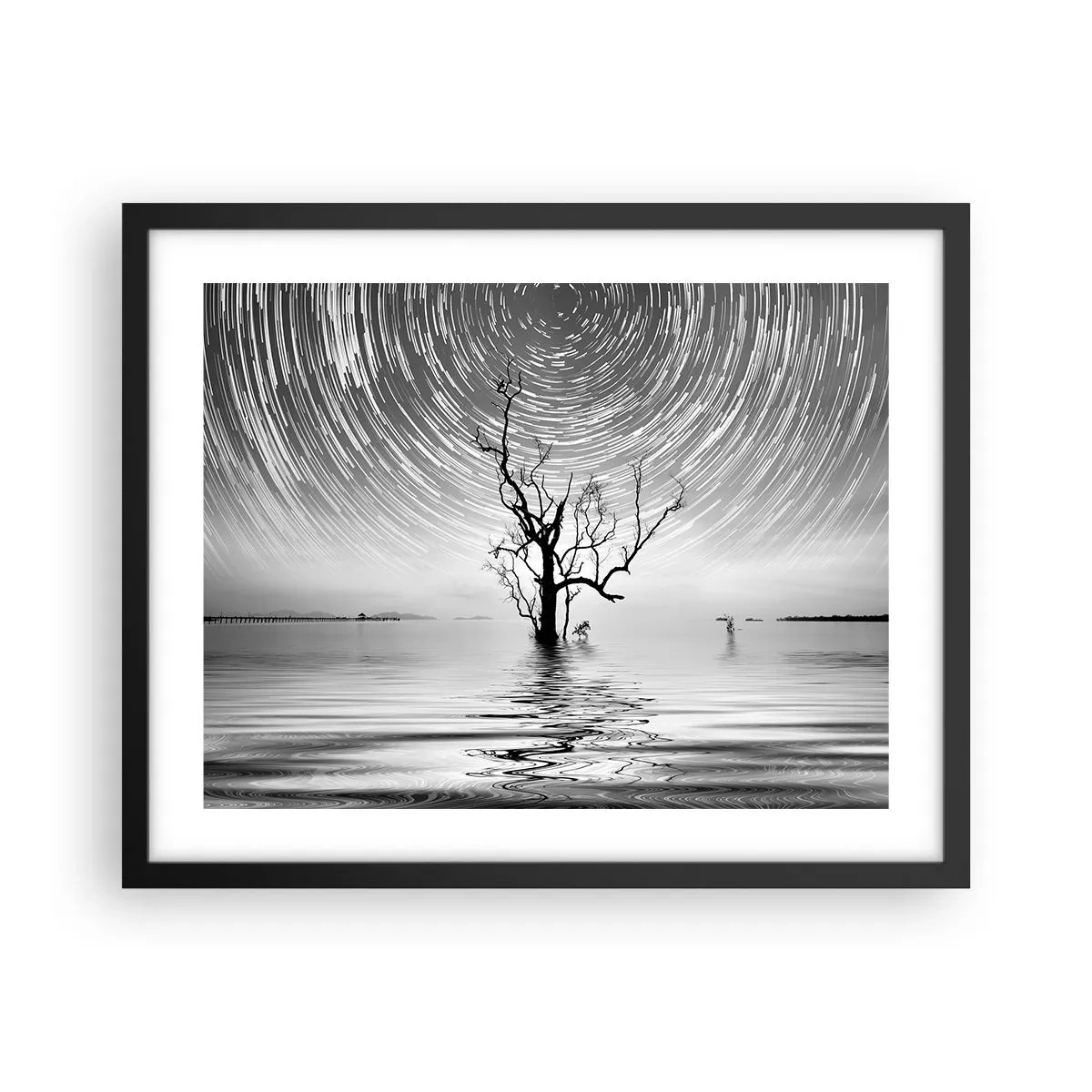 Poster in black frame - Symphony of Nature - 50x40 cm