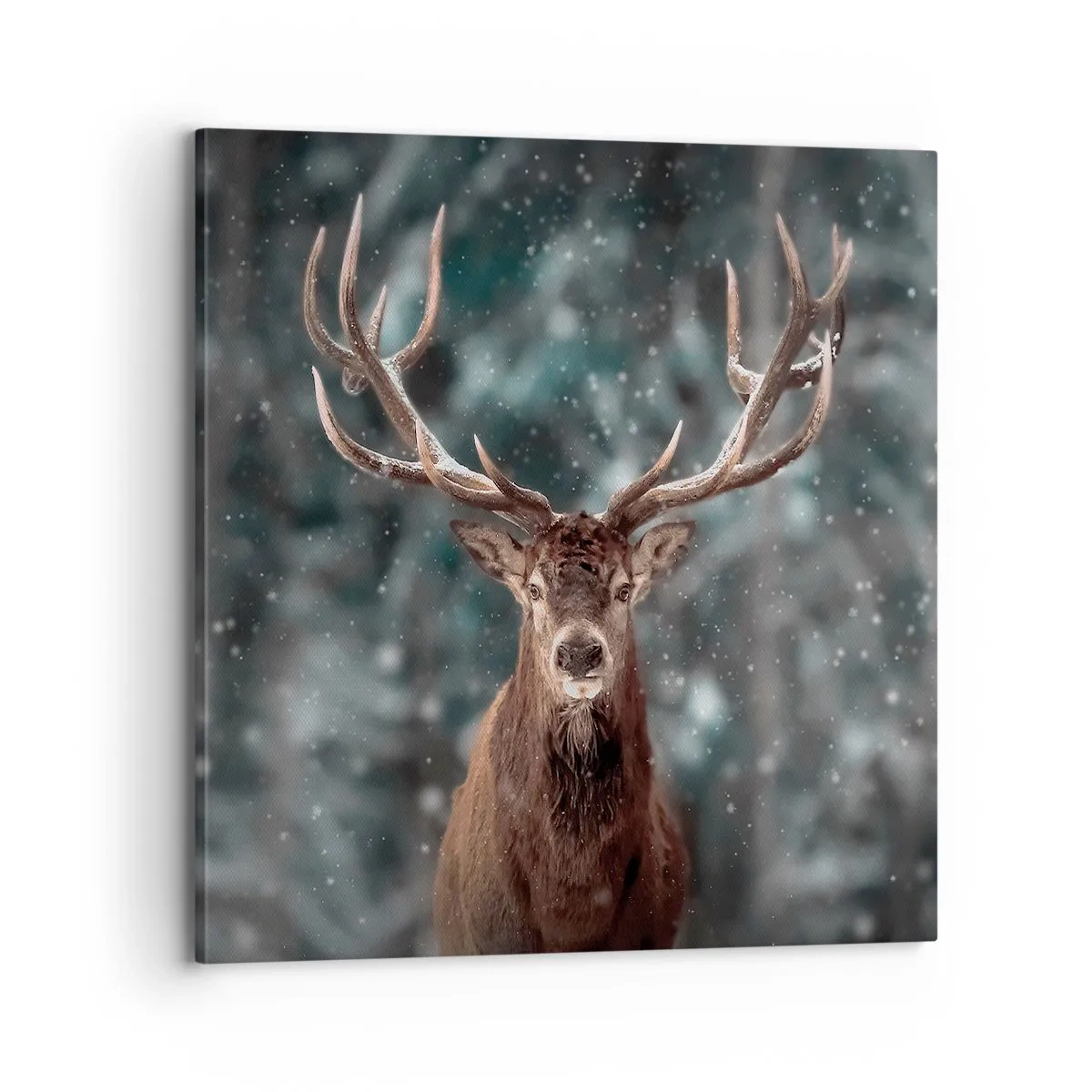 Canvas picture - King of Forest Crowned - 70x70 cm