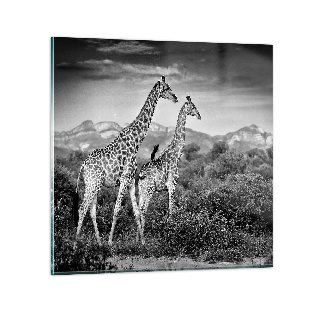 Glass picture - Higher Spheres in Africa - 60x60 cm