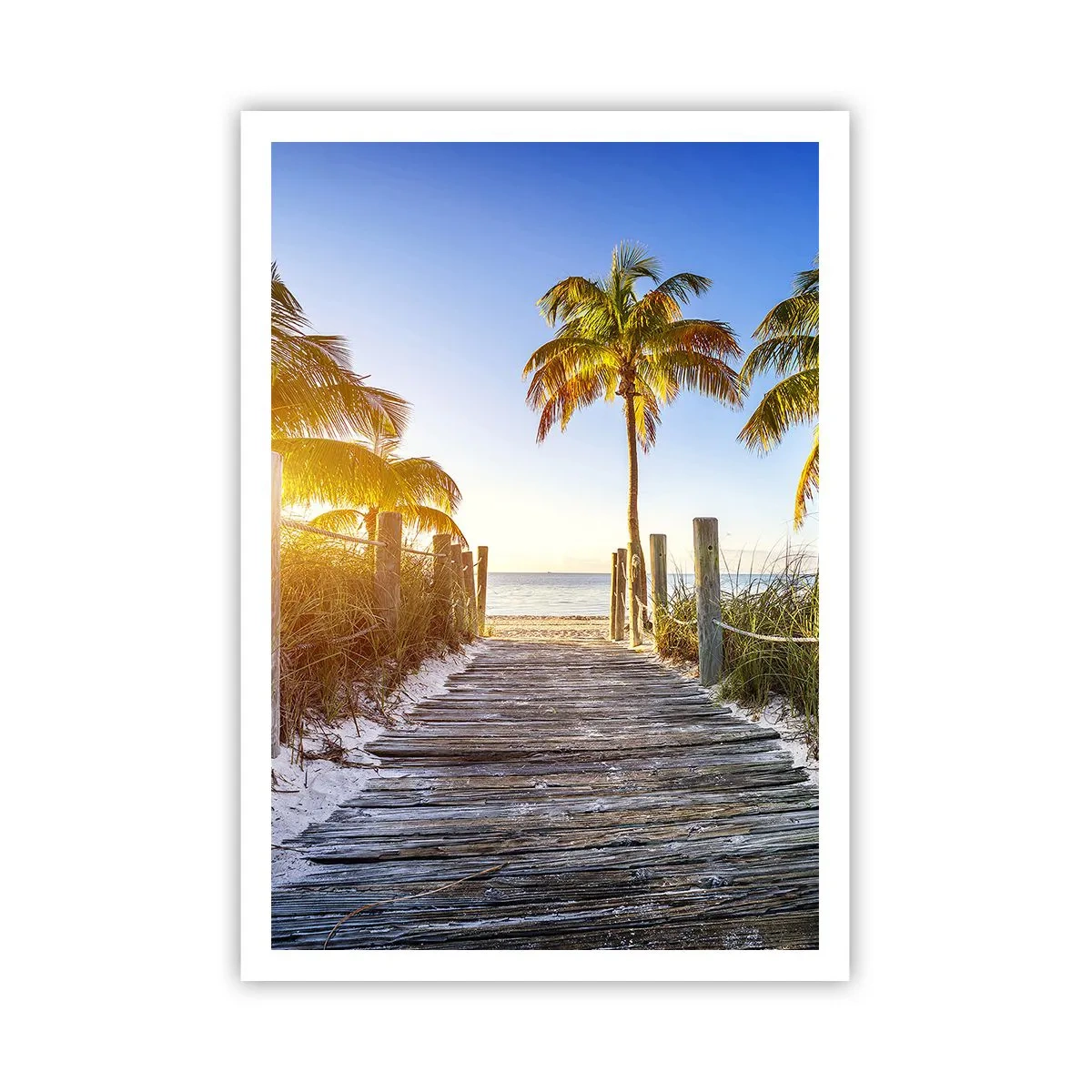 Poster - Straight to Paradise - 70x100 cm