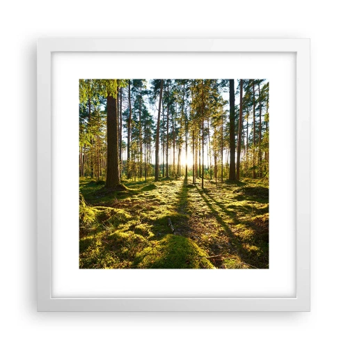 Poster in white frmae - Deep in the Forest - 30x30 cm