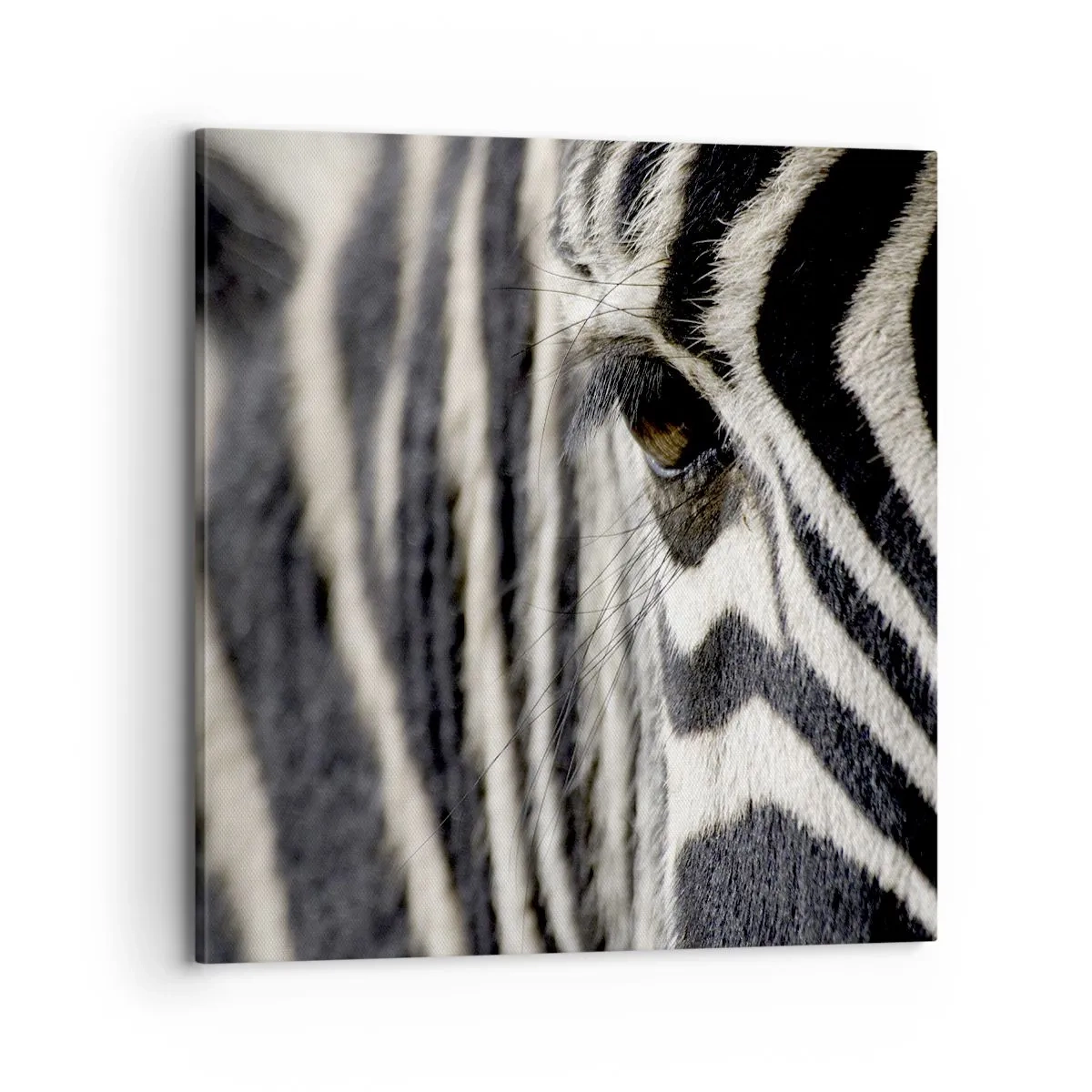 Canvas picture - Striped Portrait - 70x70 cm