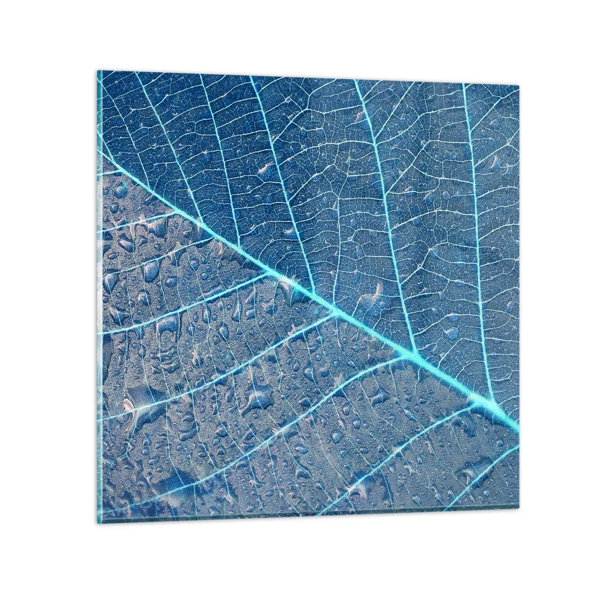 Glass picture - Life in the Blue - 40x40 cm