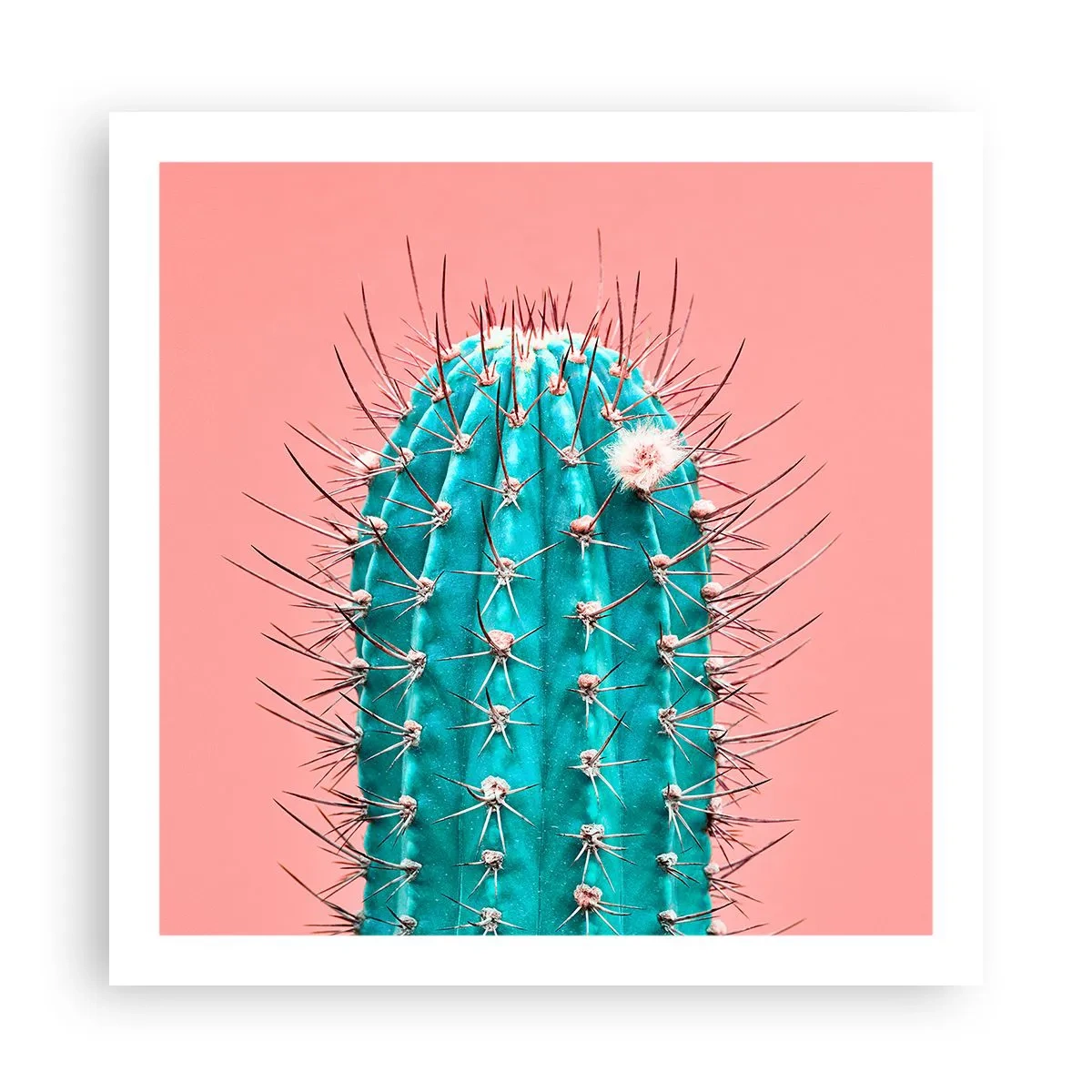 Poster - Just Look - 60x60 cm