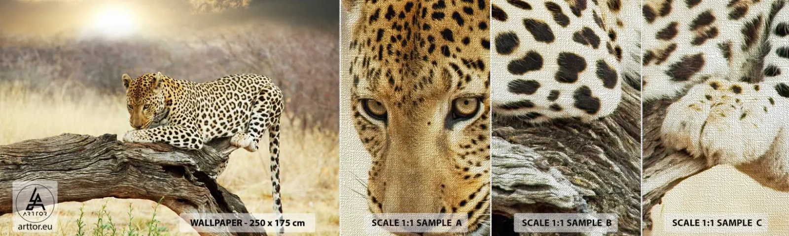 Photo Wallpaper Sample Premium Canvas - I Mark My Own Path - Animals, leopard, Africa - 100x30 cm