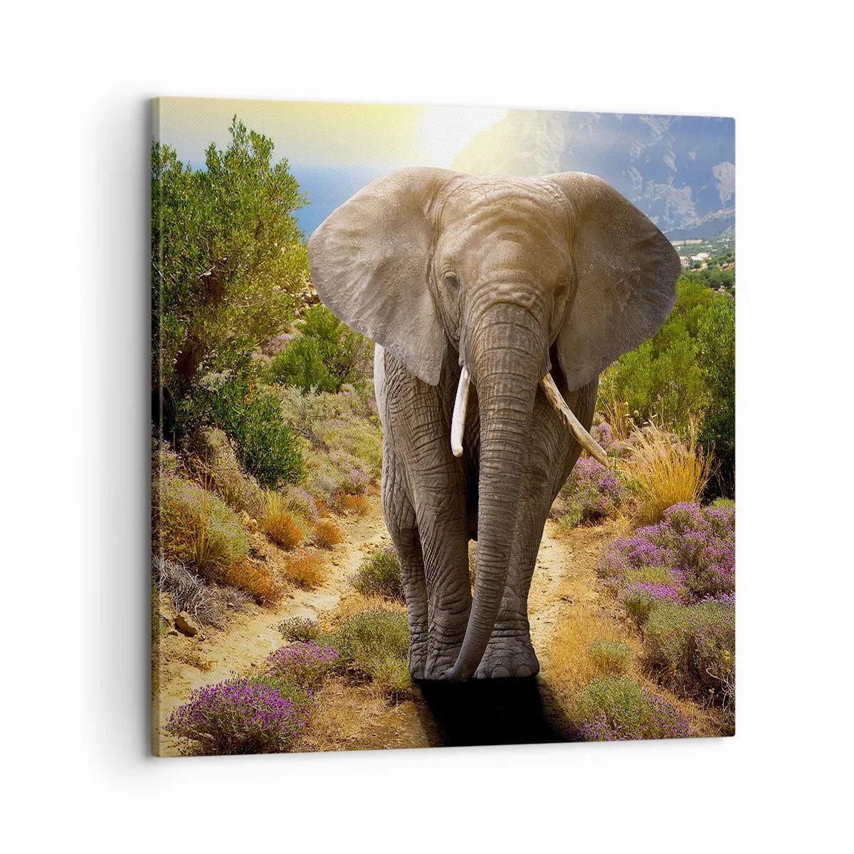 Canvas picture - This is What Eden Looked Like - 60x60 cm
